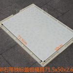 濟(jì)青線(xiàn)路rpc蓋板模具